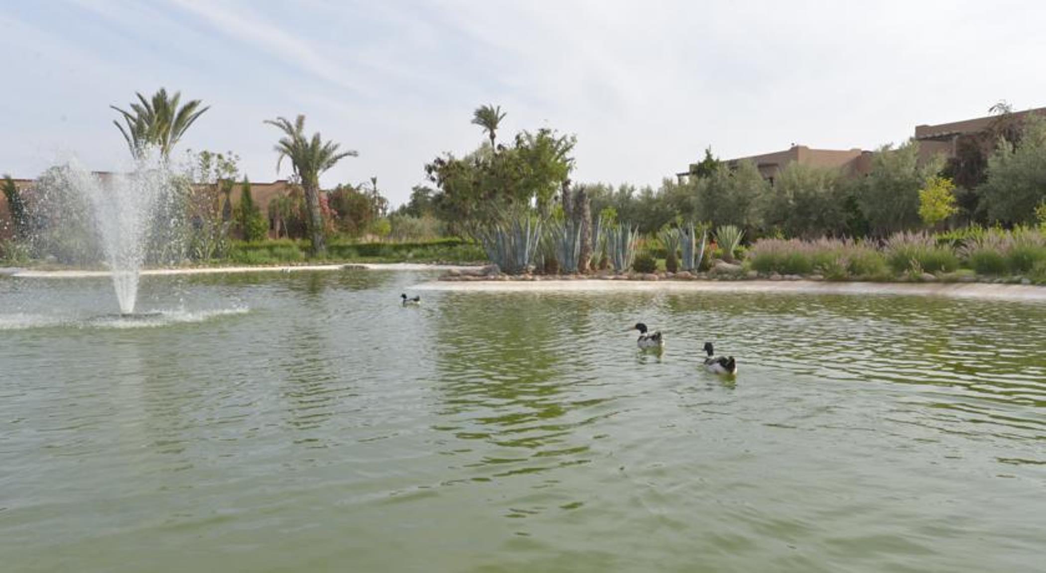 达尔阿特拉斯俱乐部全包酒店 Ouled Jelal 外观 照片